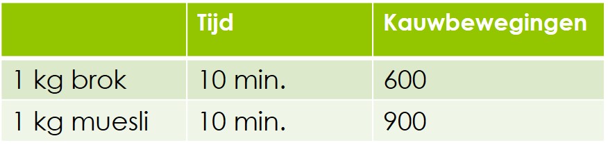 Verschil tussen paardenmuesli en brokken - kauwbewegingen