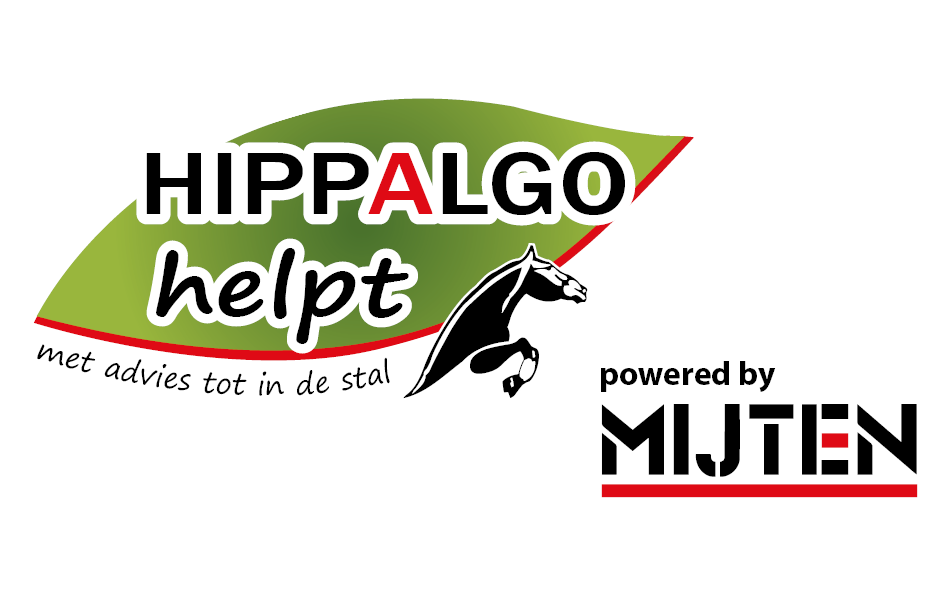 HIppalgo Helpt