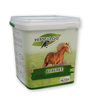 HA 058 03_Hippalgo_boxfree.png